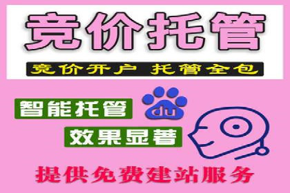 百度推广价格策略案例：如何精准投放预算